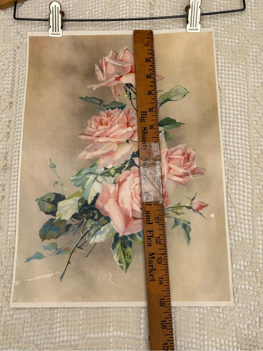 Victorian Rose Print Used !